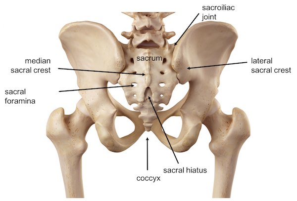 Sacrum Fracture